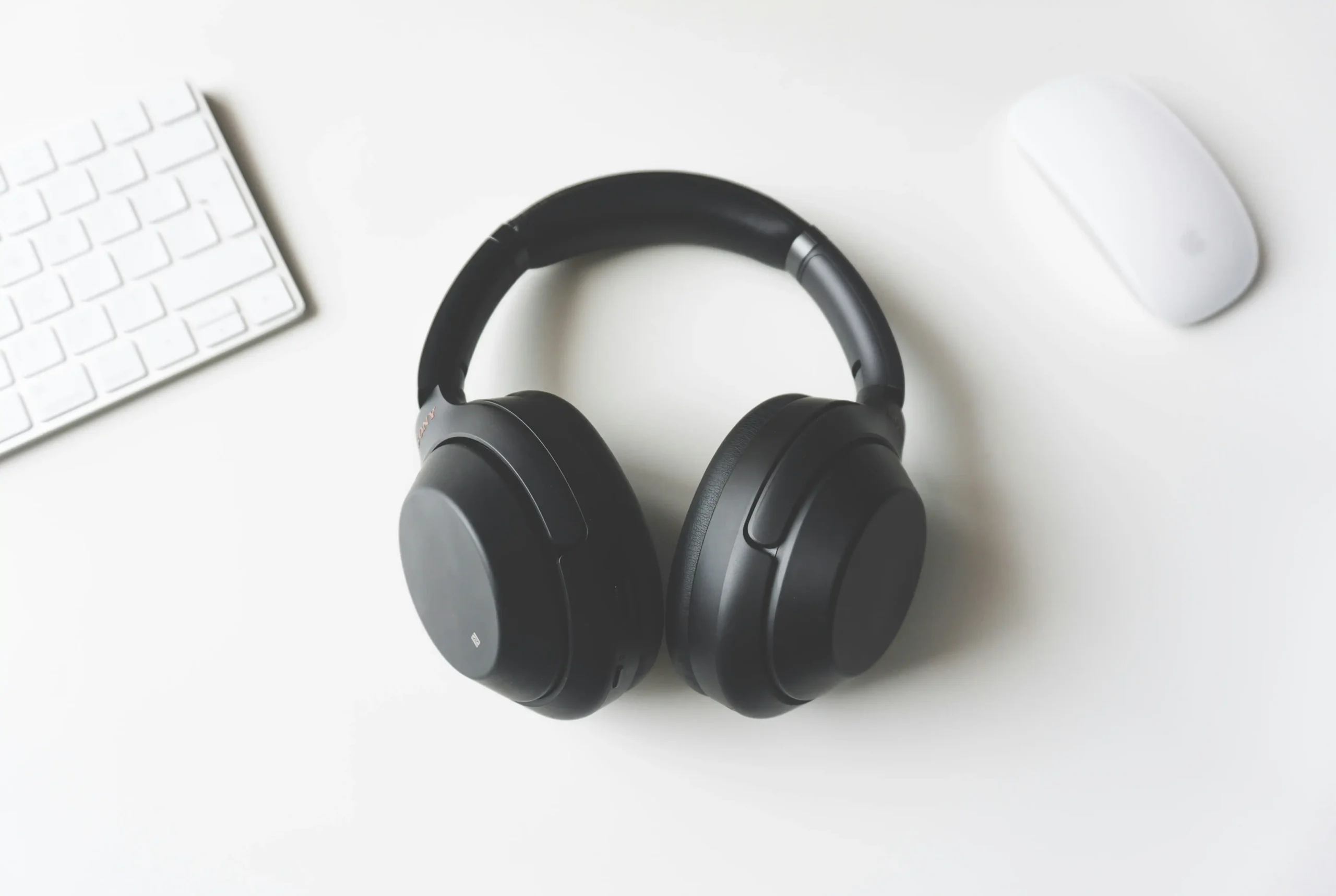Best Open Back Headphone